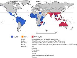 In india, there is no distinction between bananas and plantains. Frontiers Fusarium Wilt Of Banana Current Knowledge On Epidemiology And Research Needs Toward Sustainable Disease Management Plant Science