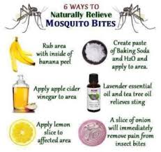7 natural ways to prevent mosquito bites. Avoid Mosquito Bites And Get Rid Of Them In Summer In Malaga And Spain