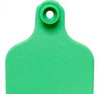 Perma-Flex Medium Cattle Ear Tag - Blank Tag