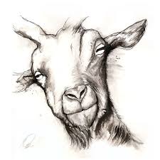 The Farm By Neil Beech Via Behance Che Sweetland Farm Animal Paintings Pencil Drawings Of Animals Animal Drawings