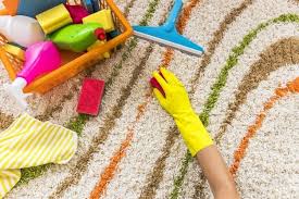 Gather some paper towels and scrape the mess onto the cardboard or a plastic dr. How To Clean Vomit From Carpet