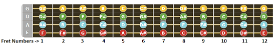 Left handed bass guitar fretboard diagram. Notes On The Bass Guitar Fretboard Diagrams Bass Player Center