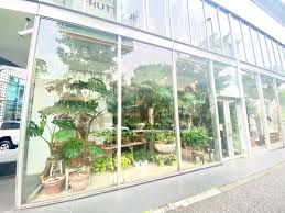 代官山】グリーンでいっぱいのおしゃれな花屋さん「フローリストイグサ」に行ってみた♪ - Little Bloomy Room