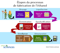 L'azote liquide, à quoi ça sert? Comment L Ethanol Est Il Fabrique Let S Talk Science