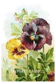 3 5 Pansy Postcard Reproduction Quilt Block Multi Szs Free Shipping World Wide K8 Ebay Home Garden Pansies Art Flower Art Vintage Flowers