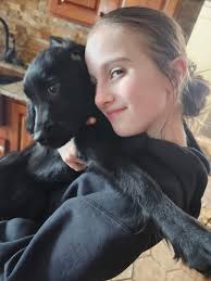 Lady lavender and her big brother indigo