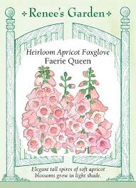 The foxglove plant is one of the most common wild flowers in existence. Faerie Queen Heirloom Apricot Foxglove Renee S Garden Seeds
