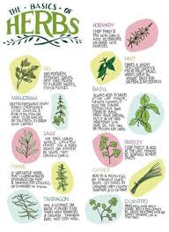 Herb Chart Tumblr