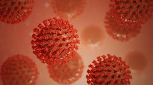 Jun 28, 2021 · la variante delta del coronavirus es ahora la tercera más común en california, según nuevos datos, lo que subraya el peligro de la cepa altamente contagiosa para las personas que no se han. Variante Delta Plus Podria Afectar Respuesta Inmunitaria Oms