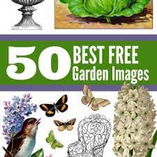 Find over 6,000 free vintage images, illustrations, vintage pictures, stock images, antique graphics, clip art, vintage photos, and printable art, to make craft projects, collage, mixed media, junk journals, diy, scrapbooking, etc! The Graphics Fairy Vintage Images Diy Tutorials Craft Projects