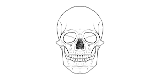 How To Draw A Skull Anime Drawings For Beginners Drawings Skull Drawing