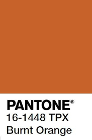 Fw 2022 In 2021 Pantone Colour Palettes Orange Aesthetic Pantone