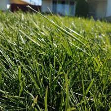 Hire the best lawn care services in providence, ri on homeadvisor. Best Lawn Maintenance Companies Near Me June 2021 Find Nearby Lawn Maintenance Companies Reviews Yelp