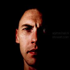 staalgraan's collection