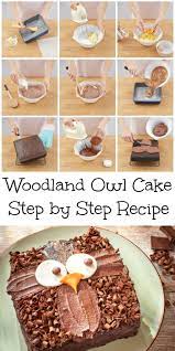 Owl Cake Step By Step Recipe And Easy Cake Decoration In The Playroom Cake Decorating Cupcake Cakes Owl Cake