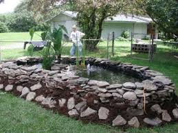 We did not find results for: Backyard Turtle Pond Ideas
