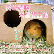 The site owner hides the web page description. æ„›å¿ƒèªè³¼å¤©ç«ºé¼ é¡žä¸»é£Ÿ