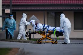Mr foley said the jq771 flight he took from adelaide to melbourne on may 4 was unlikely an acquisition site, but. Coronavirus Victoria Covid 19 Tests At St Basil S Left In Garbage Bag For Six Hours