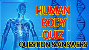 Displaying 14 questions associated with substance. Human Body Quiz Questions And Answers About Human Body Youtube