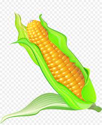 Anda sebenarnya masih bisa membuat jagung bakar walaupun hanya mempunyai. Jagung Rebus Jagung Kartun Gambar Png