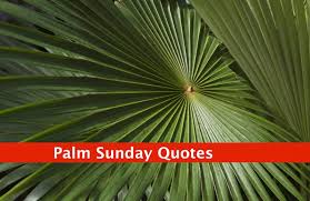 Palm sunday reminds us of easter sunday and how special it is. Palm Sunday Quotes 2021 From The Bible Itech