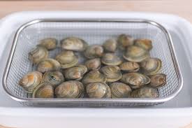 Maybe you would like to learn more about one of these? How To De Grit And Clean Clams Just One Cookbook