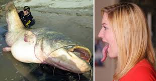 Maybe you would like to learn more about one of these? 14 Of The Biggest Things In The World Gallery