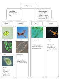 Latihan soalan sains tingkatan 1 + jawapan. Science Kssm Pt3 Spm Science Form 1