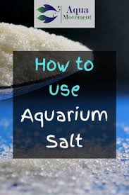 How To Use Aquarium Salt For Betta Fish Aqua Movement In 2020 Betta Fish Care Betta Fish Betta Fish Types