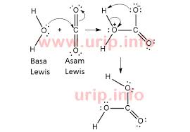Gambarkan struktur lewis dari senyawa 1.h hc1 2 h2o 3.nh3 40 c12 5 ch4 6.bf3 7.bc|2 8.no2 9pcl5 10c|f3 Animasi Mekanisme Reaksi Co2 H2o H2co3 Urip Dot Info