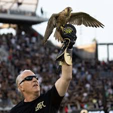 Falconer from a dying ember, released 26 june 2020 1. Seeing Past The Setback An Engineer Turned Falconer By Fresno State Alumni Medium