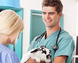 Who is dr.erin floyd at sugar land pet hospital? Vca Lexington Boulevard Animal Hospital Staff Page