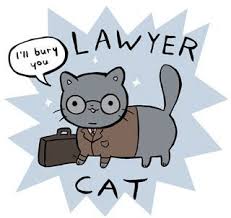 So we have found the funniest cat memes on the internet, for your personal enjoyment. Sincerely Respectfully So It S Exam Period That Time Of Year When I Cats Dog Memes Legal Humor
