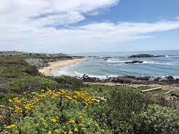 Surf webcams near the pescadero state beach surfcam. Lovely Drive And Stunning Scenery Review Of Pescadero State Beach Half Moon Bay Ca Tripadvisor