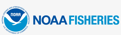Bank account's ic number/ssm registration number, in string value. Noaa Logo Standard Bank Logo Png 1000x243 Png Download Pngkit