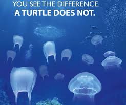 Maybe you would like to learn more about one of these? Quotes About Beach Pollution Quotes About The Ocean Pollution Top 9 The Ocean Pollution Quotes Dogtrainingobedienceschool Com