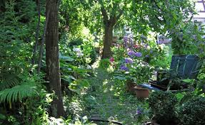 Themen Special Schattengarten Schattengarten Naturnaher Garten Schattengewachse