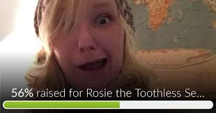 Fundraiser by Rosemary Stevens : Rosie the Toothless Sea Hag