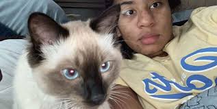 Lost dog Prada in Snellville area near Hewatt