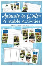 The Best Animals That Hibernate Migrate And Adapt Printable Set The Natural Homeschool