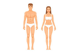This useful list will help you expand your english vocabulary words. Woman Body Parts Human Anatomy Vector Illustrations Isolate On White By Onyx Thehungryjpeg Com
