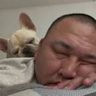 しげち (Youtuber)