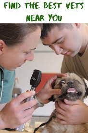 Veterinarian serving akron, barberton & wadsworth. Pin On Veteranarianclosetome