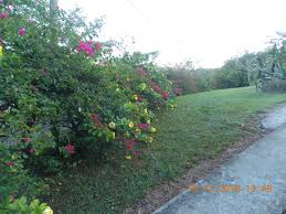 Se observa con atención la reapertura de israel. Finca In Atenas Kaufen Costa Rica San Jose Paraiso Verde