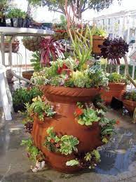 We did not find results for: How To Use Strawberry Pots
