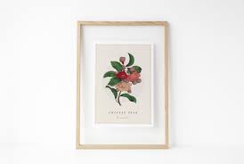 Maybe you would like to learn more about one of these? 8 Free Botanical Prints To Liven Up Your Space Ftd Com