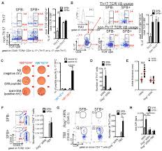Let usa today 10best's local experts guide you to the best restaurants, attractions, nightlife, clubs, bars, hotels, events, and shopping in tucson, az. Segmented Filamentous Bacteria Provoke Lung Autoimmunity By Inducing Gut Lung Axis Th17 Cells Expressing Dual Tcrs Abstract Europe Pmc