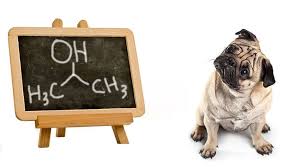 Why You Should Never Use Isopropyl Alcohol On Your Dog Dogs Naturally Dogs Naturally Magazine Your Dog Dog Care Diy