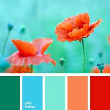 Navy, light green, dark and light brown, black, white, and tomato red all go well with turquoise. Color Palette 50 Color Schemes Colour Schemes Color Balance
