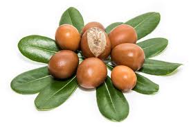 We did not find results for: Shea Nut Tree Butyrospermum Parkii Draphee Cosmetics